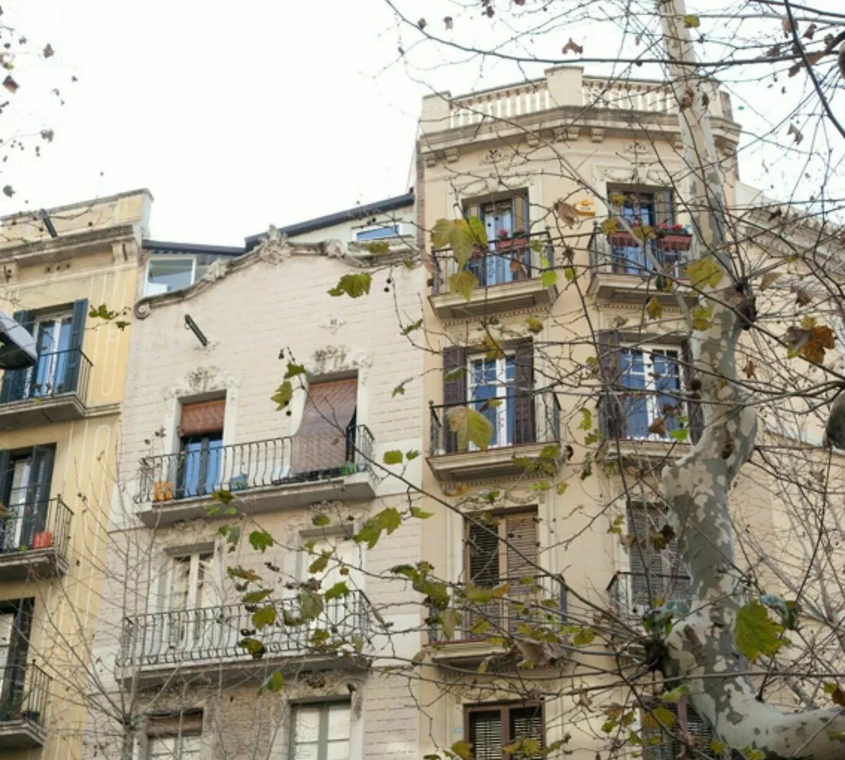 Watermelon - Penthouse Apartment Barselona İspanya